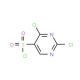 2,4-dichloropyrimidine-5-sulfonyl chloride (CAS 23920-08-3) - chemical structure image