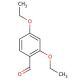 2,4-Diethoxybenzaldehyde (CAS 22924-16-9) - chemical structure image