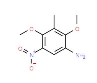2,4-Dimethoxy-3-methyl-5-nitroaniline - chemical structure image