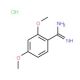 2,4-Dimethoxy-benzamidine HCl (CAS 131947-81-4) - chemical structure image