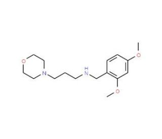 (2,4-Dimethoxy-benzyl)-(3-morpholin-4-yl-propyl)-amine - chemical structure image