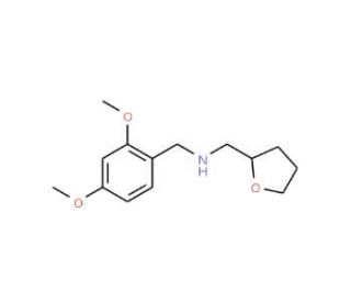 (2,4-Dimethoxy-benzyl)-(tetrahydro-furan-2-yl-methyl)-amine (CAS 510723-75-8) - chemical structure image