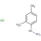 2,4-Dimethylphenylhydrazine hydrochloride (CAS 60480-83-3) - chemical structure image