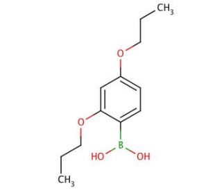 2,4-Dipropoxyphenylboronic acid (CAS 150145-25-8) - chemical structure image