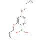 2,4-Dipropoxyphenylboronic acid (CAS 150145-25-8) - chemical structure image
