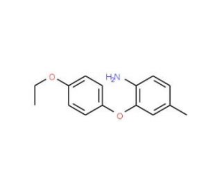 2-(4-Ethoxyphenoxy)-4-methylaniline - chemical structure image