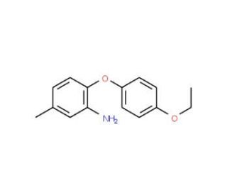 2-(4-Ethoxyphenoxy)-5-methylaniline - chemical structure image