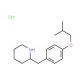 2-(4-Isobutoxy-benzyl)-piperidine hydrochloride (CAS 1170150-79-4) - chemical structure image