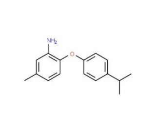 2-(4-Isopropylphenoxy)-5-methylaniline - chemical structure image
