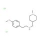 [2-(4-Methoxyphenyl)ethyl][(1-methylpiperidin-4-yl)methyl]amine dihydrochloride - chemical structure image