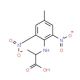 2-(4-Methyl-2,6-dinitroanilino)propanoic acid - chemical structure image