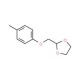 2-(4-Methyl-phenoxymethyl)-[1,3]dioxolane (CAS 850348-72-0) - chemical structure image