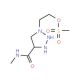 2-[4-(methylcarbamoyl)-1H-1,2,3-triazol-1-yl]ethyl methanesulfonate - chemical structure image
