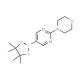 2-(4-Morpholino)pyrimidine-5-boronic acid pinacol ester (CAS 957198-30-0) - chemical structure image