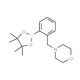 2-(4-Morpholinomethyl)phenylboronic acid pinacol ester (CAS 876316-33-5) - chemical structure image