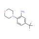 2-(4-Morpholinyl)-5-(trifluoromethyl)aniline (CAS 784-57-6) - chemical structure image
