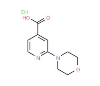 2-(4-Morpholinyl)isonicotinic acid HCl (CAS 848580-46-1) - chemical structure image