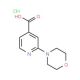 2-(4-Morpholinyl)isonicotinic acid HCl (CAS 848580-46-1) - chemical structure image