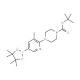 2-[4-(N-Boc)piperazin-1-yl]-3-methylpyridine-5-boronic acid pinacol ester (CAS 1073354-54-7) - chemical structure image