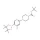2-[4-(N-Boc)piperazin-1-yl]-4-methylpyridine-5-boronic acid pinacol ester (CAS 1073355-13-1) - chemical structure image
