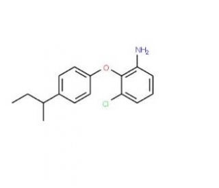 2-[4-(sec-Butyl)phenoxy]-3-chloroaniline - chemical structure image