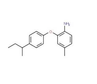 2-[4-(sec-Butyl)phenoxy]-4-methylaniline - chemical structure image