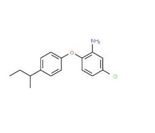 2-[4-(sec-Butyl)phenoxy]-5-chloroaniline - chemical structure image