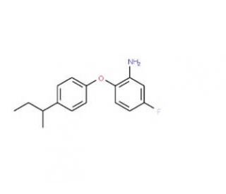 2-[4-(sec-Butyl)phenoxy]-5-fluoroaniline - chemical structure image