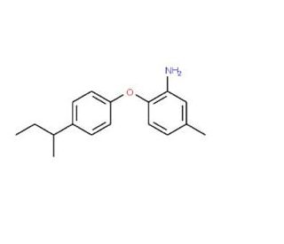 2-[4-(sec-Butyl)phenoxy]-5-methylaniline - chemical structure image