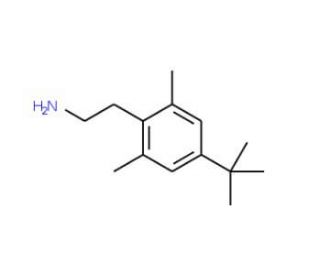 2-(4-tert-butyl-2,6-dimethylphenyl)ethanamine (CAS 93720-89-9) - chemical structure image