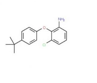2-[4-(tert-Butyl)phenoxy]-3-chlorophenylamine - chemical structure image