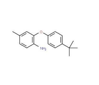 2-[4-(tert-Butyl)phenoxy]-4-methylphenylamine - chemical structure image