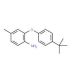 2-[4-(tert-Butyl)phenoxy]-4-methylphenylamine - chemical structure image