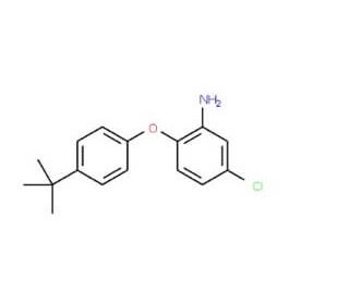 2-[4-(tert-Butyl)phenoxy]-5-chlorophenylamine - chemical structure image