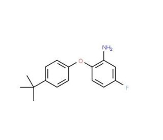 2-[4-(tert-Butyl)phenoxy]-5-fluorophenylamine - chemical structure image