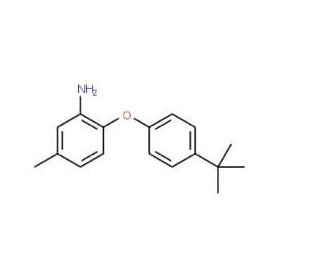 2-[4-(tert-Butyl)phenoxy]-5-methylphenylamine - chemical structure image