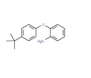 2-[4-(tert-Butyl)phenoxy]aniline (CAS 3169-73-1) - chemical structure image