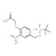 2-[4-(tert-Butyldimethylsilyloxymethyl)-2-nitrophenoxy]acetic Acid (CAS 308815-83-0) - chemical structure image