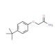 2-(4-tert-butylphenoxy)acetamide - chemical structure image