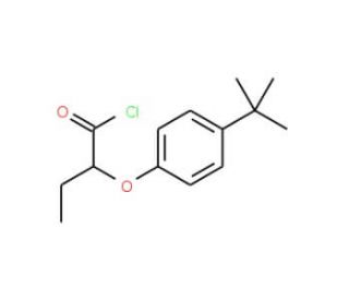 2-(4-tert-butylphenoxy)butanoyl chloride - chemical structure image
