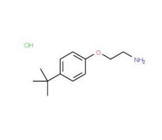 2-(4-tert-butylphenoxy)ethanamine hydrochloride (CAS 50634-73-6) - chemical structure image