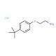 2-(4-tert-butylphenoxy)ethanamine hydrochloride (CAS 50634-73-6) - chemical structure image