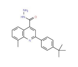 2-(4-tert-Butylphenyl)-8-methylquinoline-4-carbohydrazide - chemical structure image