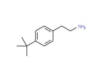 2-(4-tert-Butylphenyl)ethylamine (CAS 91552-82-8) - chemical structure image