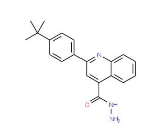 2-(4-tert-Butylphenyl)quinoline-4-carbohydrazide - chemical structure image