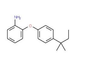 2-[4-(tert-Pentyl)phenoxy]phenylamine - chemical structure image