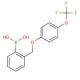 2-[[4′-(Trifluoromethoxy)phenoxy]methyl]phenylboronic acid (CAS 849062-07-3) - chemical structure image