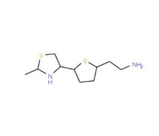 2-[5-(2-methyl-1,3-thiazol-4-yl)thien-2-yl]ethanamine - chemical structure image