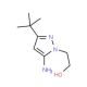 2-(5-amino-3-tert-butyl-1H-pyrazol-1-yl)ethanol - chemical structure image