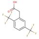 2,5-Bis(trifluoromethyl)phenylacetic acid (CAS 302912-02-3) - chemical structure image